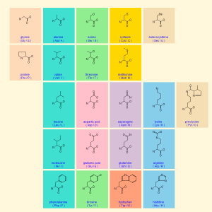 Table of Amino Acids