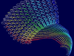 又一个漂亮的生物分子