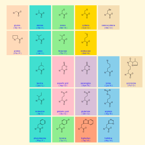 用R画分子结构式与氨基酸表